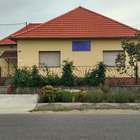 Abigel Apartman Mórahalom Zewnętrze zdjęcie